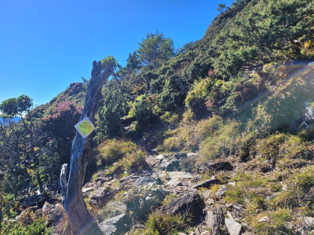 20231103 南一段四天_2355899