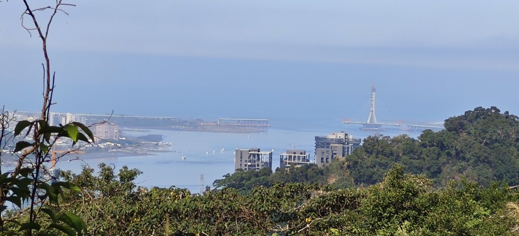 2025/02/15_忠義山+關渡親山步道_2713554