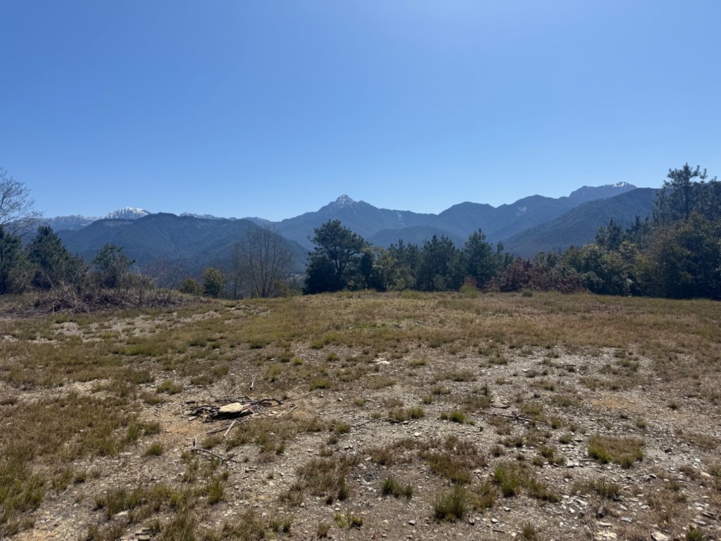 馬武霸O型_2745311