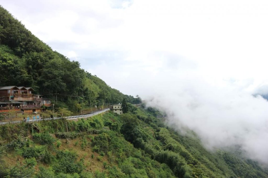 〔桃園復興〕拉拉山巨木，史詩級魔幻森林，75公頃紅檜 扁柏森林浴_2237335