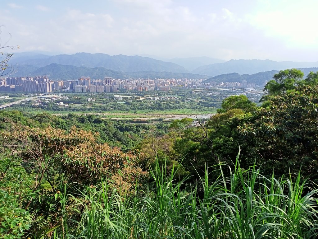 【小百岳集起來】（2-2） 樹林大同山、青龍嶺、大棟山連走碧龍步道、牛灶山步道、孫龍步道封面圖