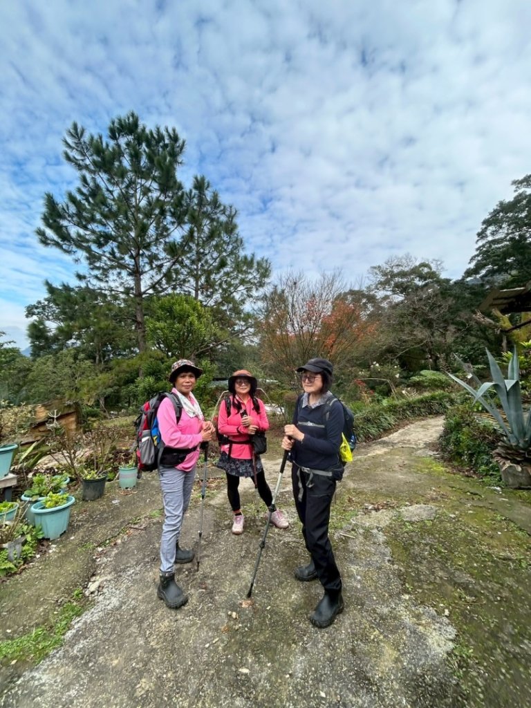 紫微聖母環山步道走六寮崙山與西南峰_2989185