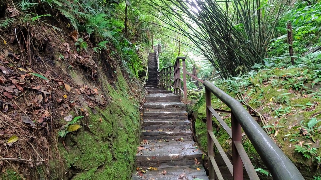 豹山溪,獅山溪,永春崗封面圖