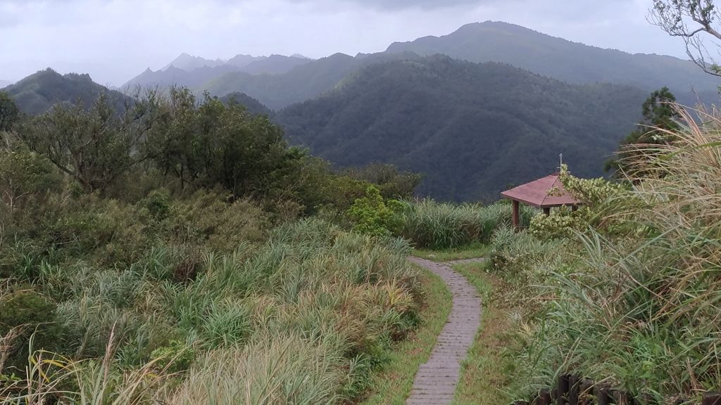 起大霧~~~無大景的五分山!_186142