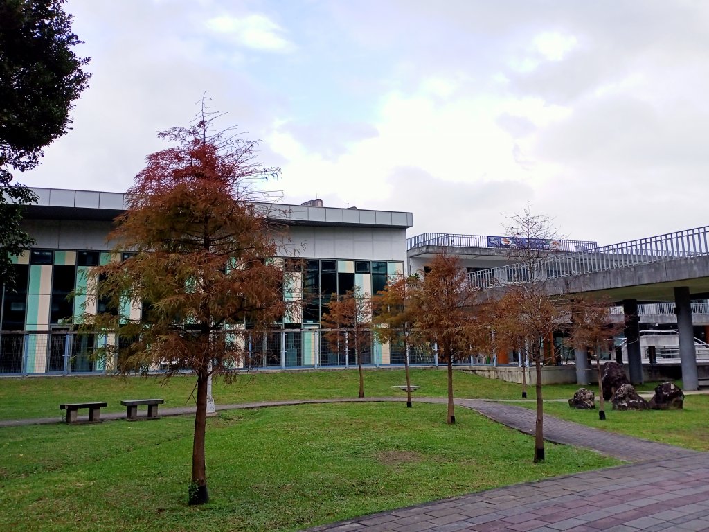 湖光山色、燈火輝煌的大湖公園【齊心鞋力, 益起行走】_1984527