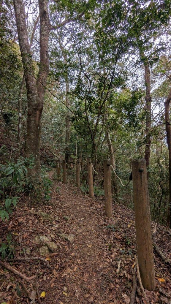 橫龍山、橫龍古道_2682976