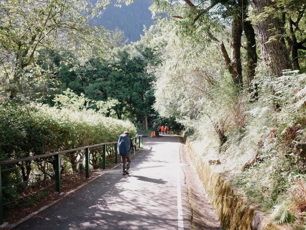 桃山&一點也不鳥的喀拉業山_632654