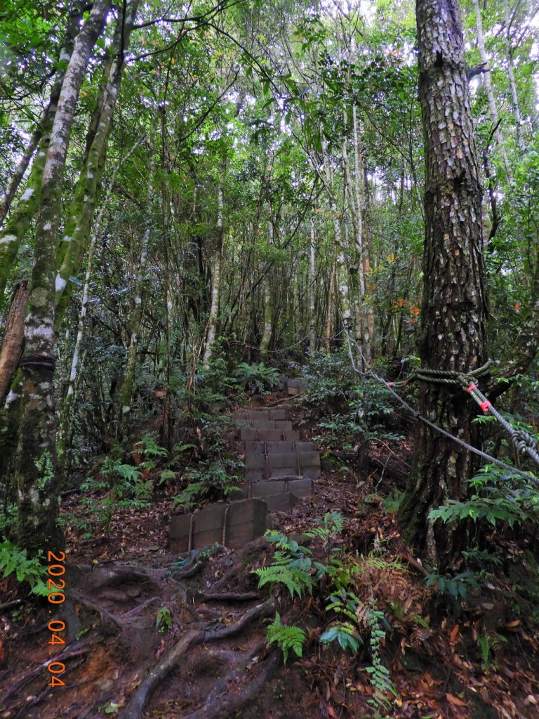 苗栗 泰安 北坑山_903698