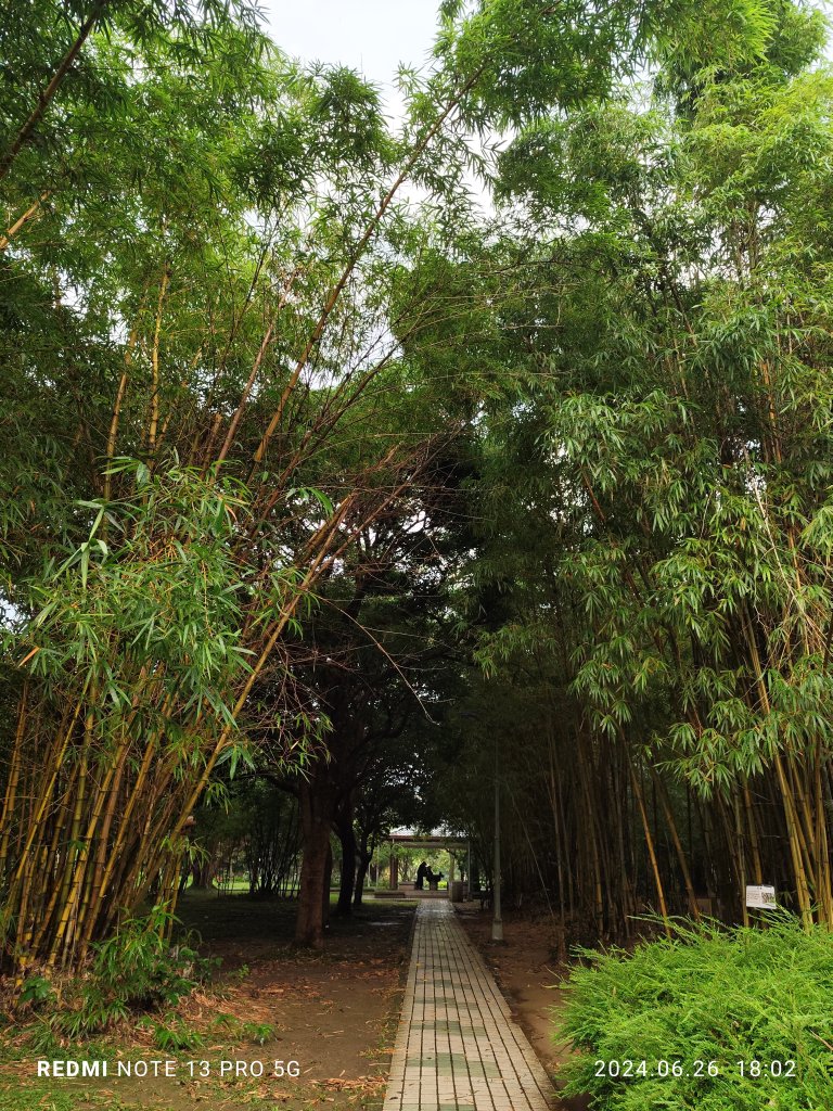 大安森林公園、寧夏夜市、士林夜市【走路趣尋寶】【臺北健走趣】_2536340