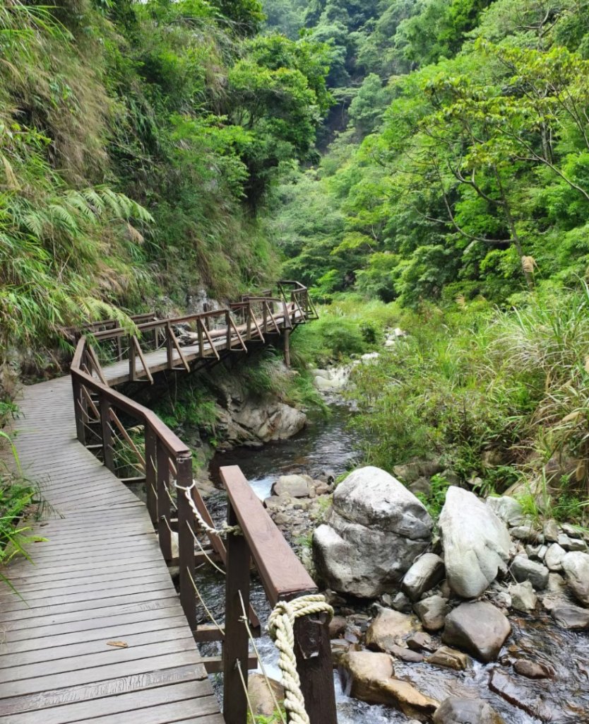 【中級山】谷關七雄唐麻丹山，連走蝴蝶谷瀑布_2741022