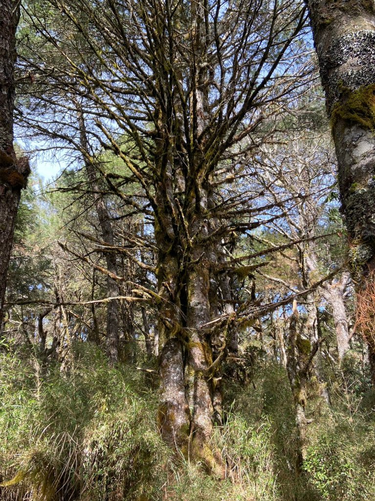 羅馬縱走_2038409