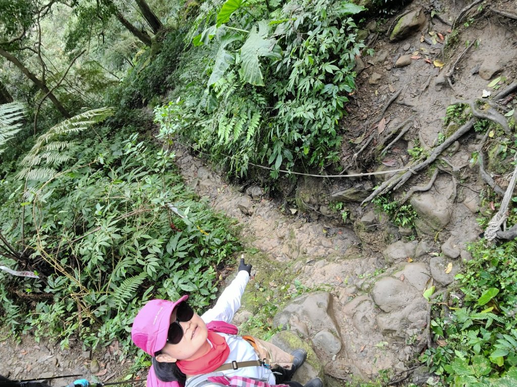 新竹小百岳五指山+一線天_2071282