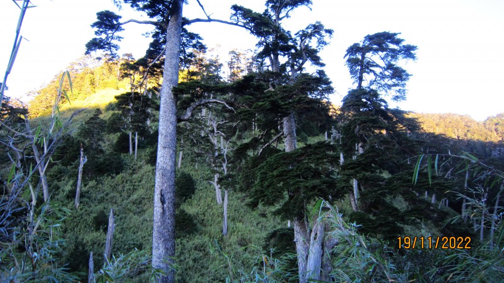 白姑大山 - 障礙連連 嗆辣迷人！_1923500