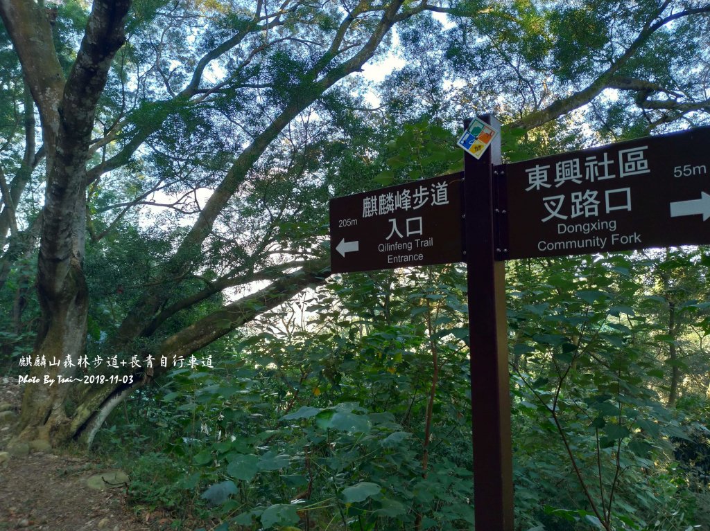 麒麟山森林步道20181103封面圖