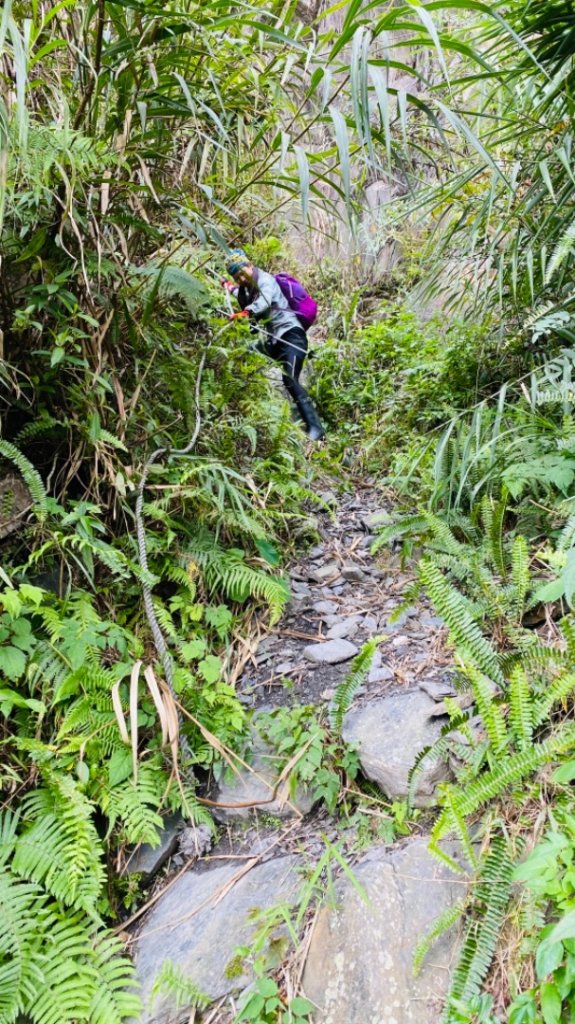 小鬼湖林道上亞泥迪山_1276843