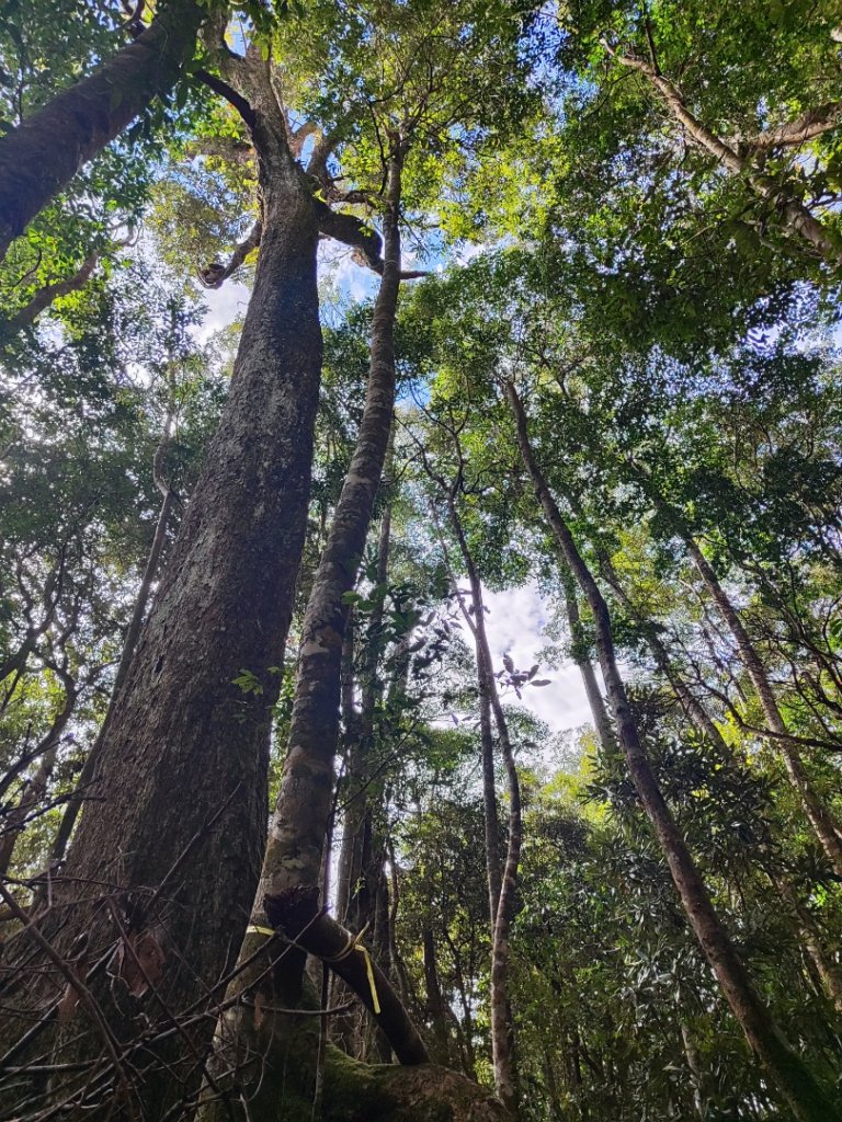 大雪山進屋我尾_2652477