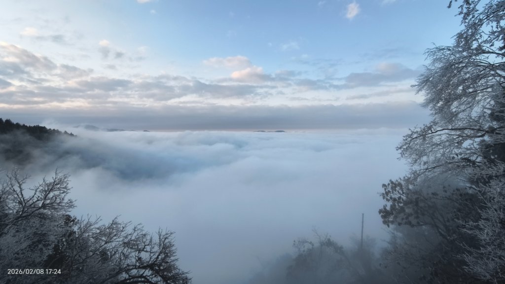 #霧淞 #雲海 #雲瀑 #霧虹 #太平山 #望洋山 #觀雲步道 #翠峰道路  2/8_2995310