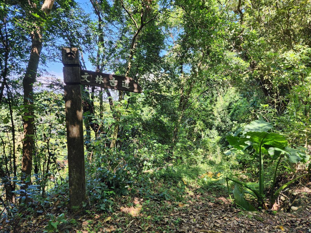 文林古道_2410456