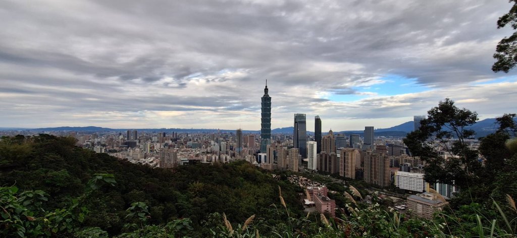 【貓貓自創路線】四獸山+南港山+九五峰+永春坡公園完成!_2705808