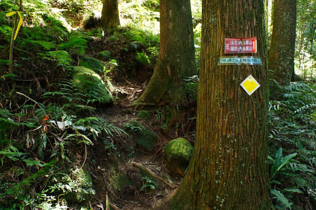 新竹 尖石 貴妃山、那結山_2913605