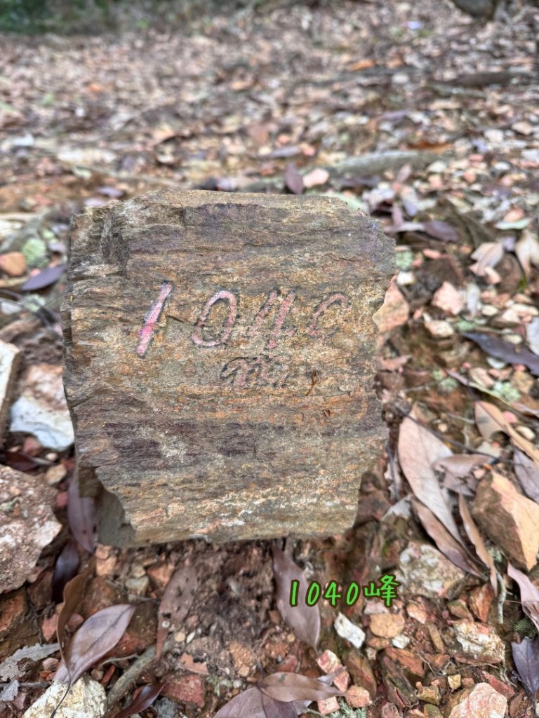 巴蜈縱走_2749301