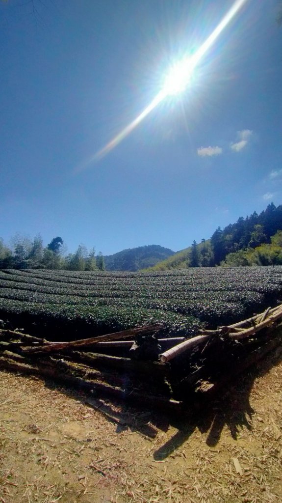 瑞太古道/奮瑞古道/雲仔山/糕仔崁古道/奮起湖 縱走_1639052