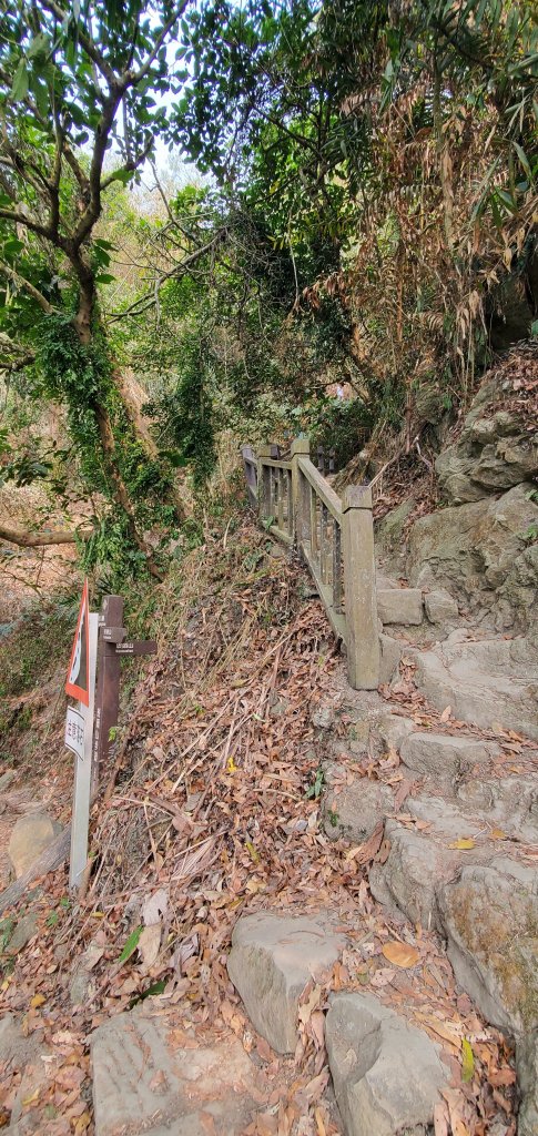 2023-04-15崁頭山步道_2114756