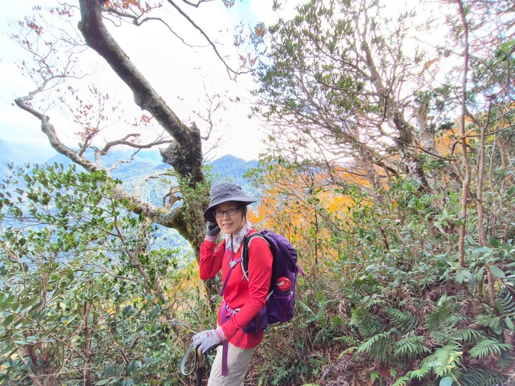 1121125 鳥嘴山縱走貴妃山_2363963