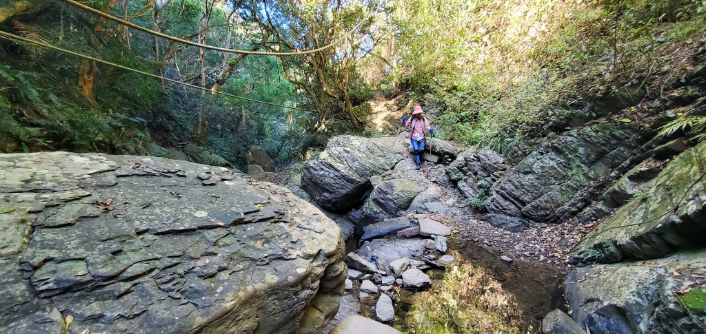 2023-01-26女仍山步道_2010985