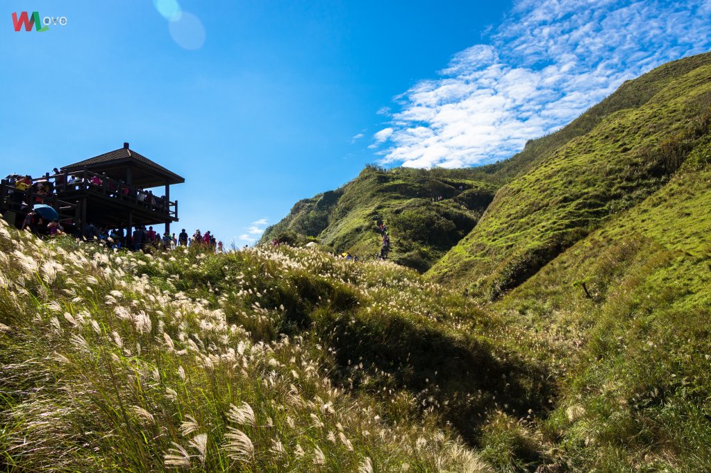 WL 愛旅行【灣坑頭山】_500691