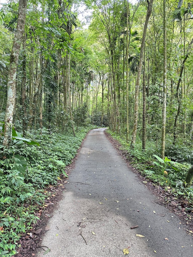 過坑山O型縱走_2450327