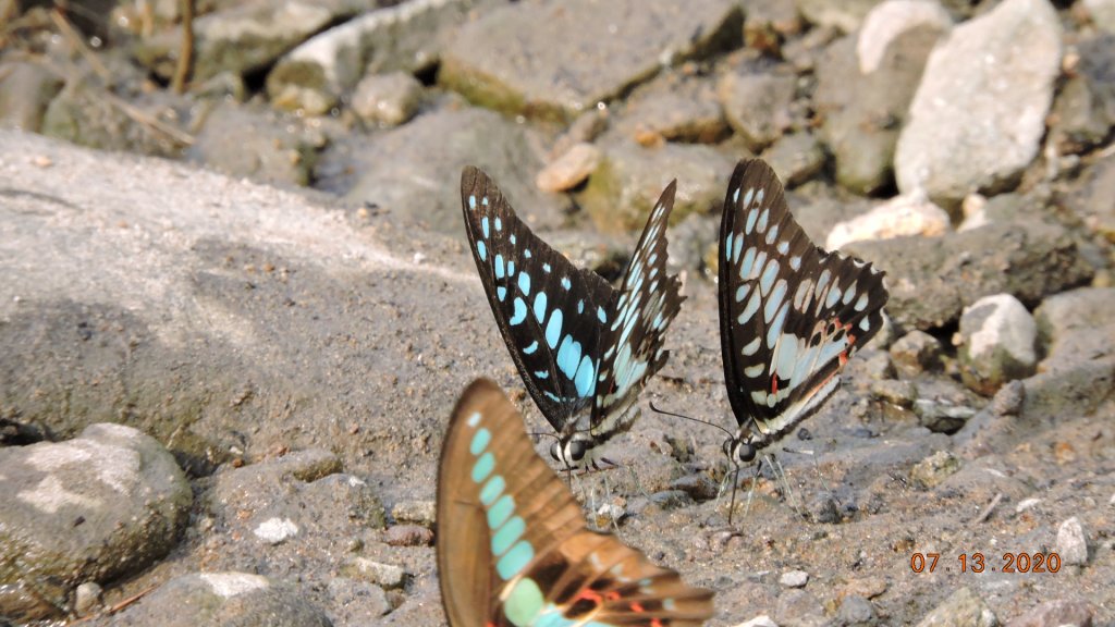 就是喜歡這個藍天白雲的FU_1032086