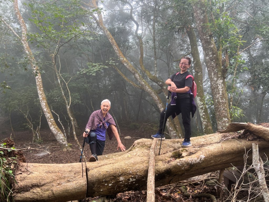 馬那邦山_2641877