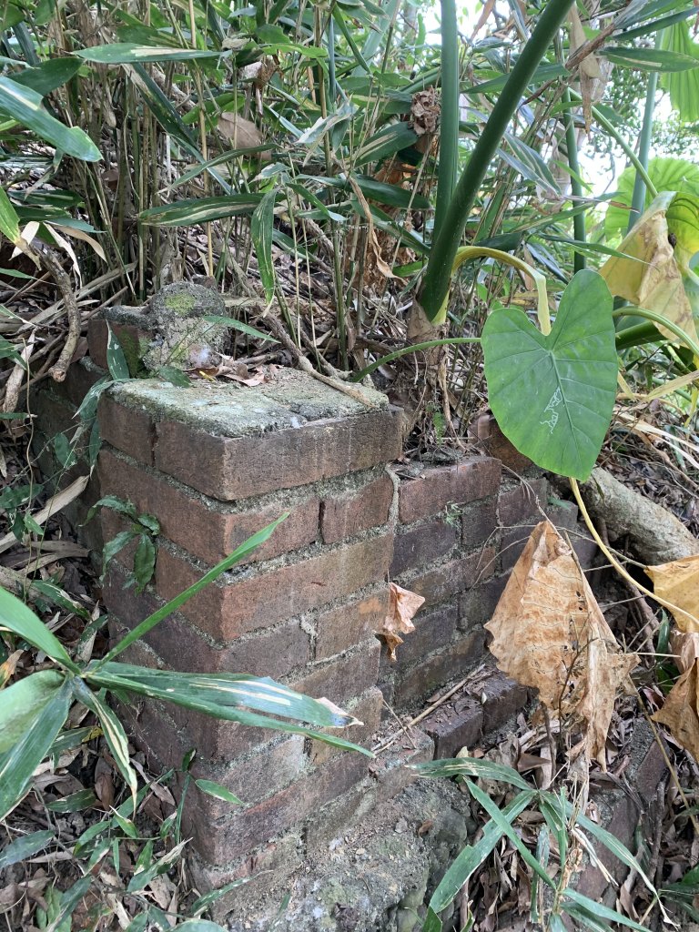 20260117台南阿拉溪斜瀑群縱走糖子恩山-水山頂山_2985186