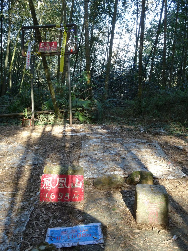 南投鹿谷-鳳凰山之三角點_222083