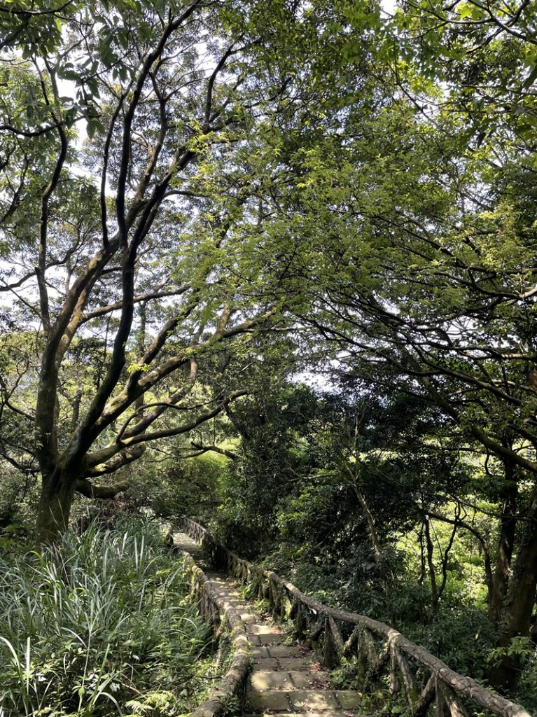 大屯西連峰_2498225