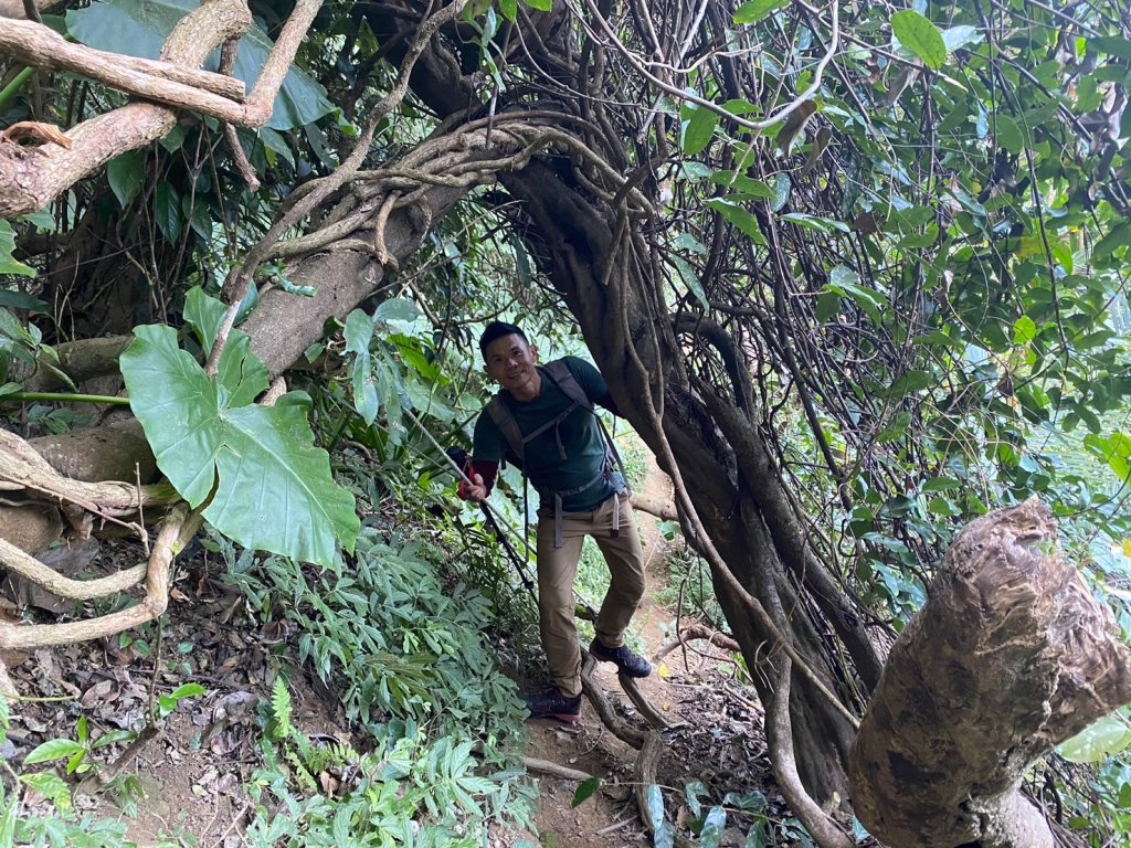 金童山.汶水山.玉女山【冬天的郊山縱走=高山等級的享受】_2680918