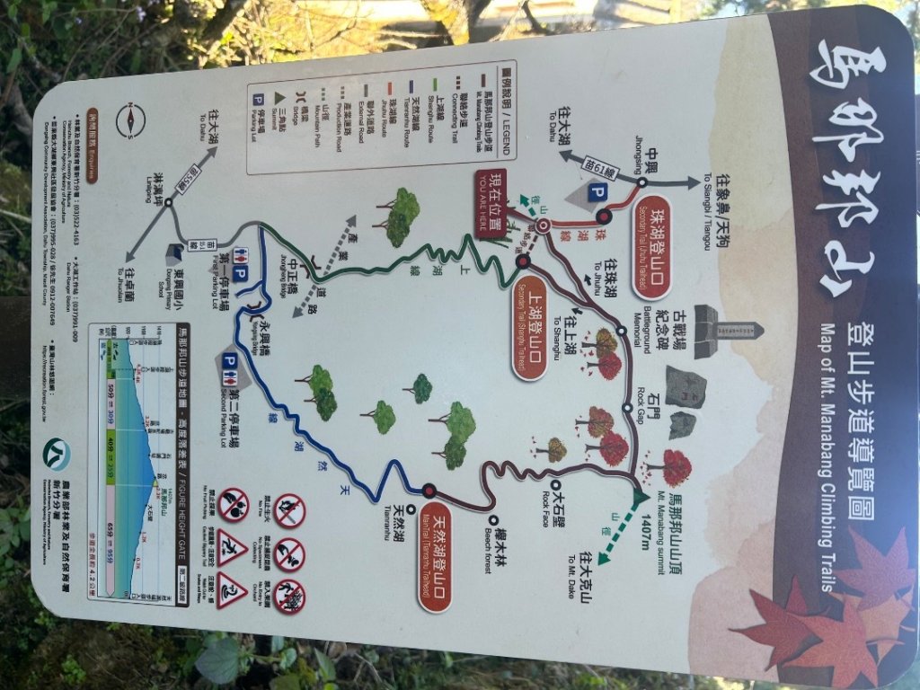 苗栗大湖-馬那邦山-小百岳037_2679920