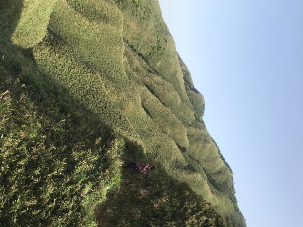 抹茶山、三角崙山、聖母山莊_2115184