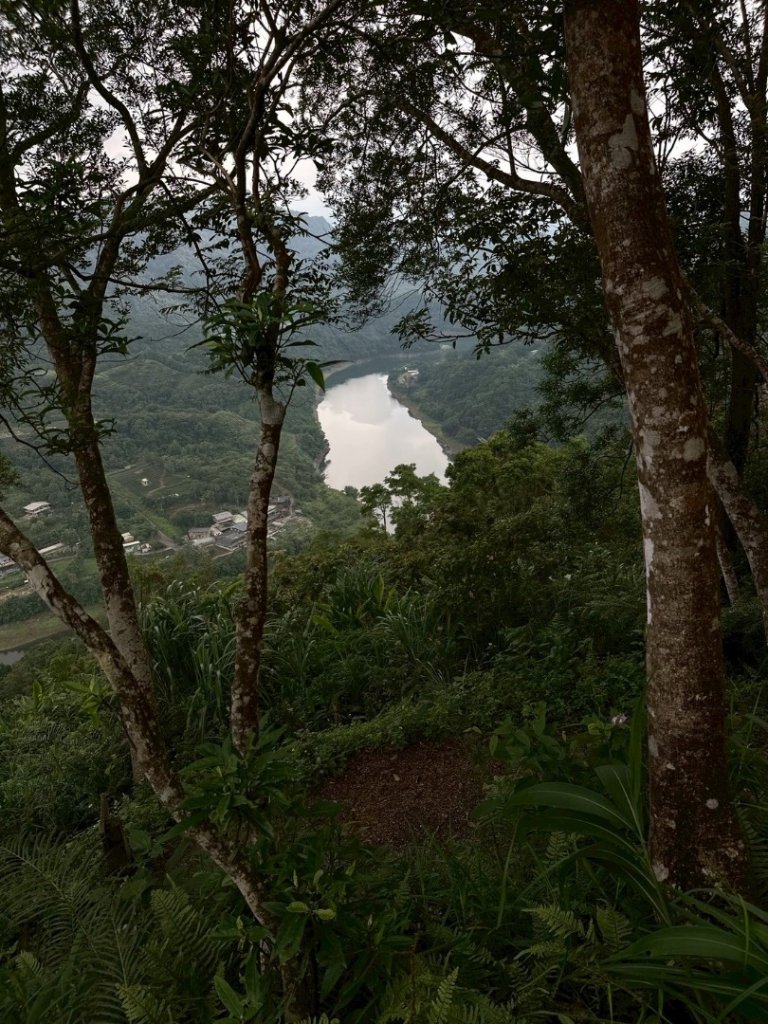 烏窟子山、獵貍尖山、黃櫸皮寮山、翡翠之眼O走_2809970
