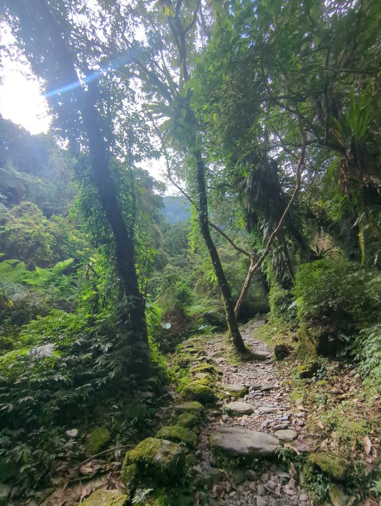 2025.01.10－松羅國家步道_2981179