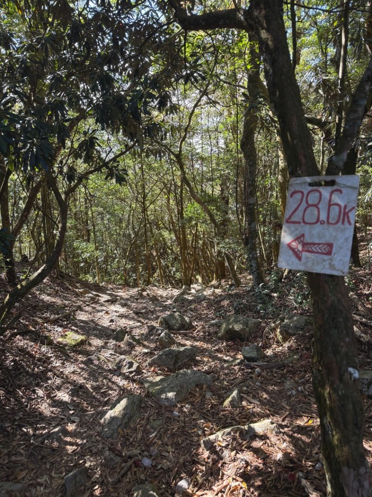 鳶嘴稍來步道賞楓季 ，大雪山門票優惠到12/31！_2969546