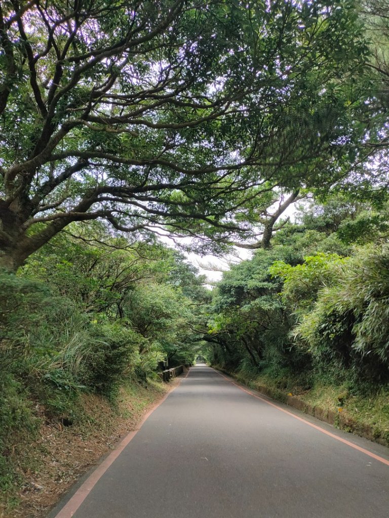 清涼步道［二子坪~清天宮］（2023/8/7）_2243940