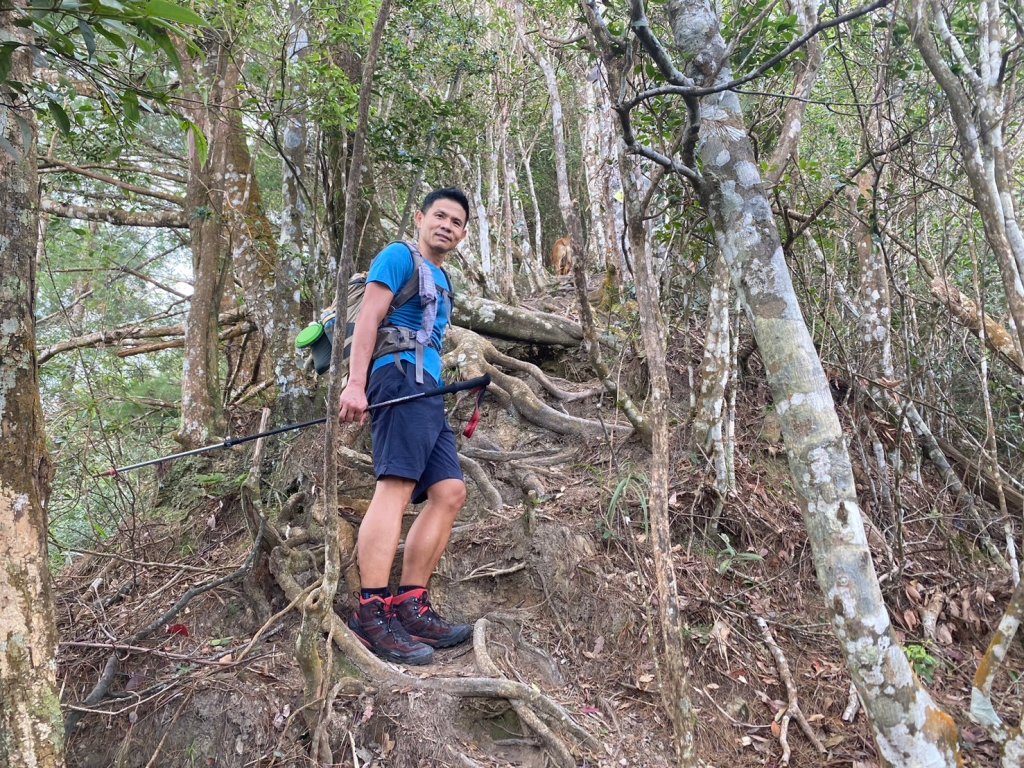 阿冷山【好酒沉甕底的隱藏版魔王】_2649289