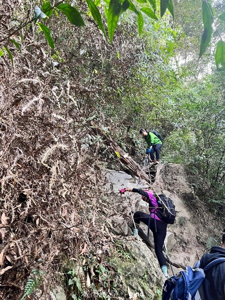 【南投魚池】中部四大名山之山高路遠。 水社大山登山步道_2037977