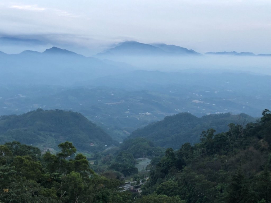 1071014大湖薑麻園封面圖