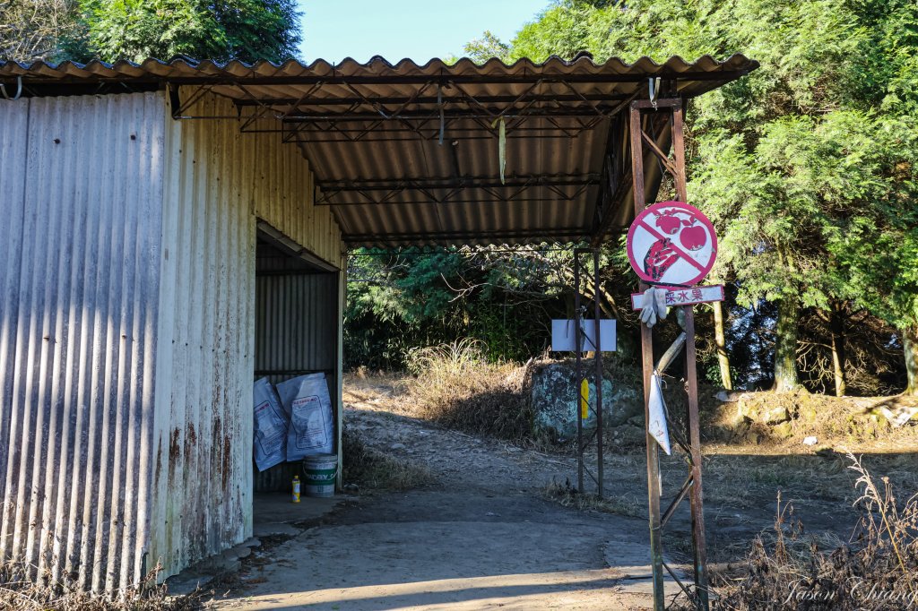 [苗栗]馬那邦山_2355127