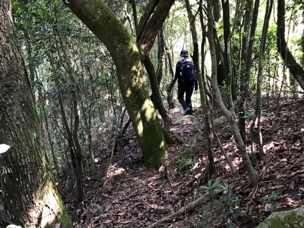 三員縱走下銅鑼_633438