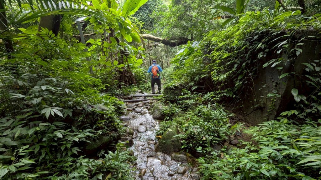 114.06.14雙石縱走&石門水庫-石牛山之旅_2812237