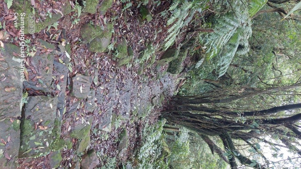 汐止大尖山_1618395